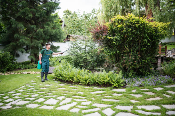 Trusted Ballston Spa, NY Pest Control Experts