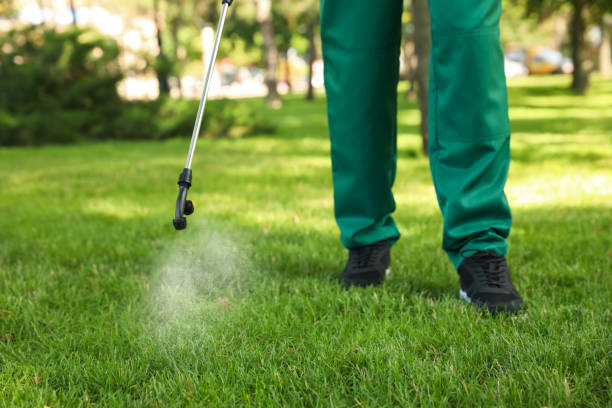 Best Pest Inspection Near Me  in Ballston Spa, NY