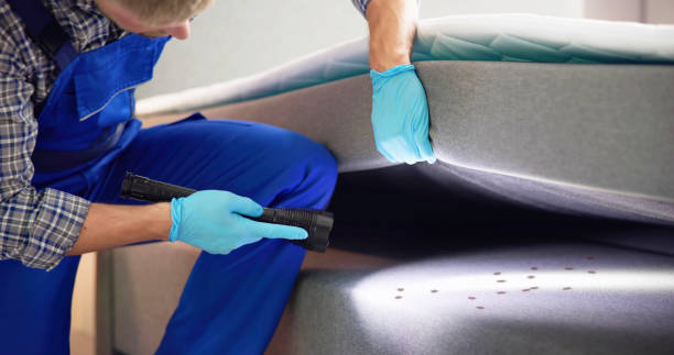 Best Affordable Pest Control Services  in Ballston Spa, NY