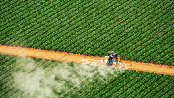 Best Pest Removal Services  in Ballston Spa, NY