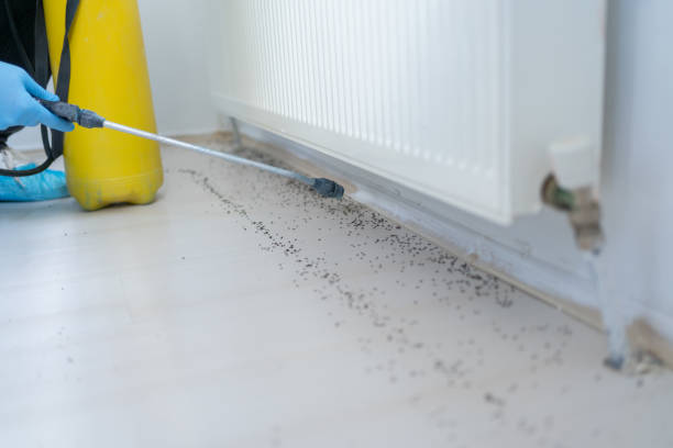 Best Wasp Removal Services  in Ballston Spa, NY