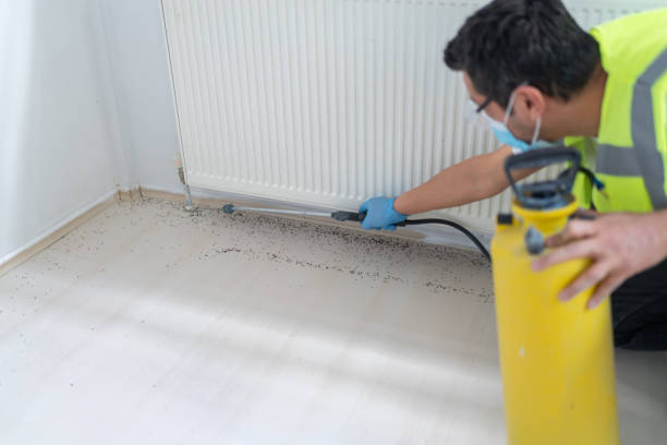 Best Termite Control Services  in Ballston Spa, NY