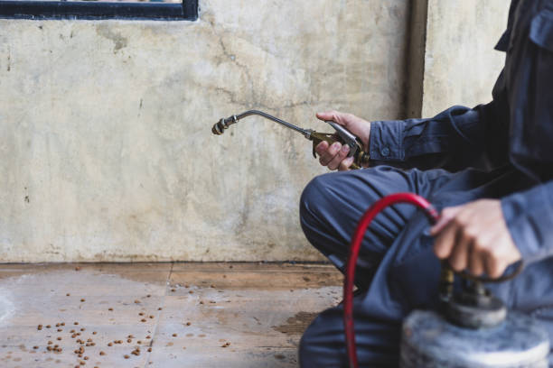 Best Pest Prevention Services  in Ballston Spa, NY